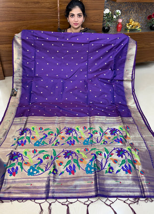 Paithani Border