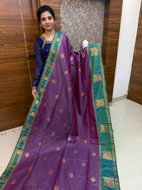 Kanchi Silk
