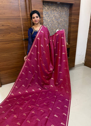 Border Less Kanchi Silk