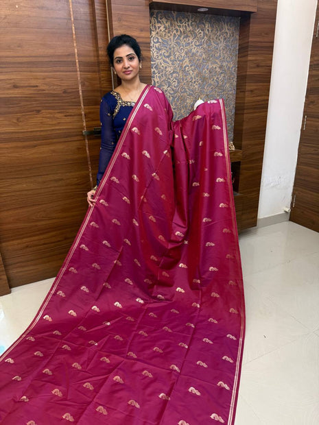 Border Less Kanchi Silk