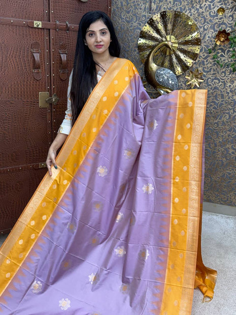 Kanchi Silk