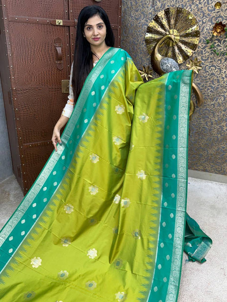 Kanchi Silk