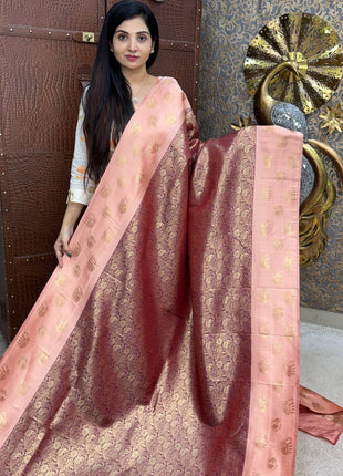Kanchi Silk
