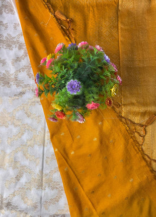 Pure Georgette Banarasi