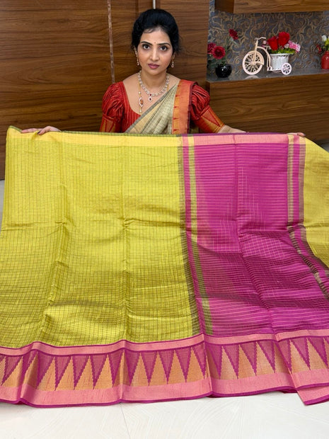 Semi Raw Silk