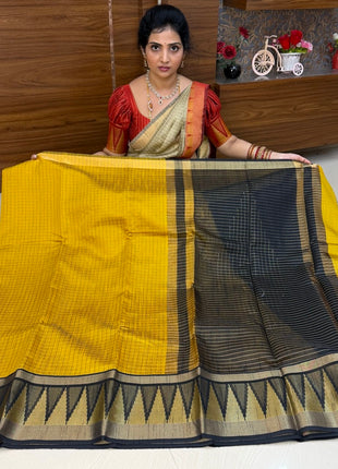 Semi Raw Silk