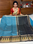 Semi Raw Silk