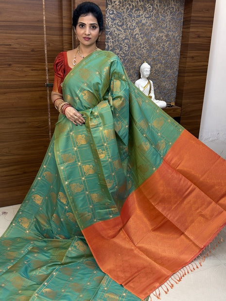 Border Less Kanchi Silk