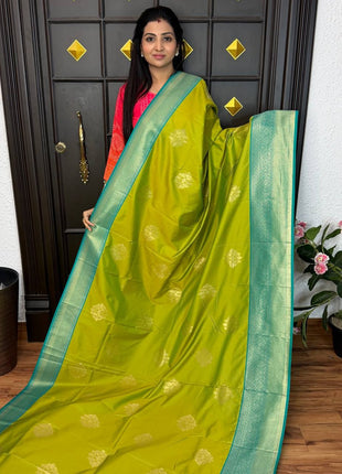 Kanchi Silk