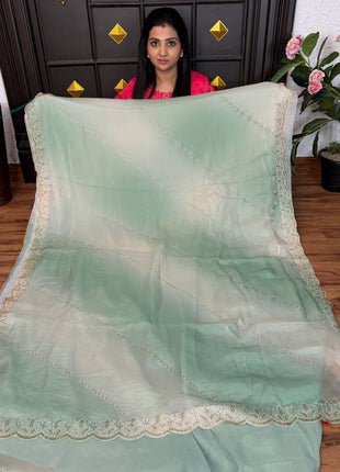 Fendi Designer Saree