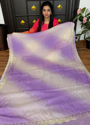 Fendi Designer Saree