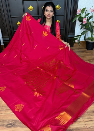 Kanchi Soft Silk