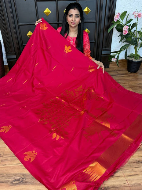 Kanchi Soft Silk