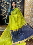 Banana Pith Saree