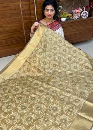 Printed Pure Silk