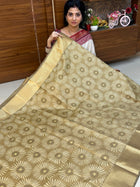 Printed Pure Silk