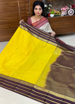 Premium Kanchi Gold Zari Coffee Brown Border