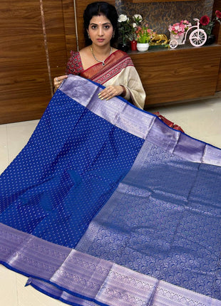 Kanchi Silk Silver Zari