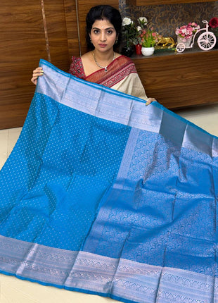 Kanchi Silk Silver Zari