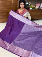 Kanchi Silk Silver Zari