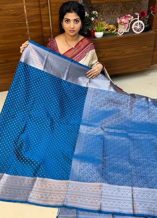 Kanchi Silk Silver Zari