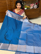 Kanchi Silk Silver Zari
