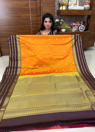 Premium Kanchi Gold Zari Coffee Brown Border