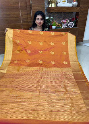 Premium Kanchi Gold Zari