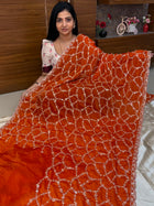 Fendi Designer  Saree