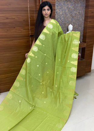 Semi Raw Silk
