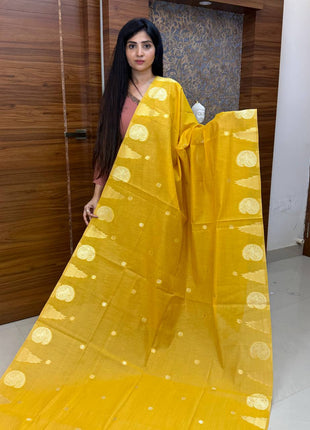 Semi Raw Silk