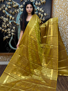 Kanchi Soft Silk