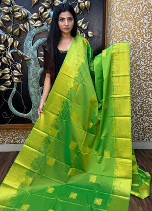Premium Kanchi Gold Zari Pallaku Design