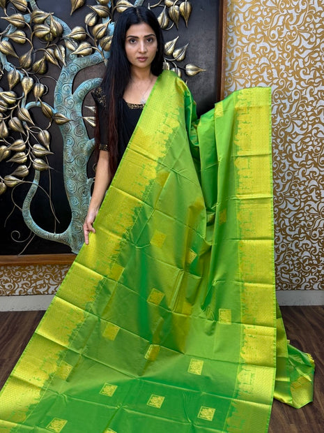 Premium Kanchi Gold Zari Pallaku Design
