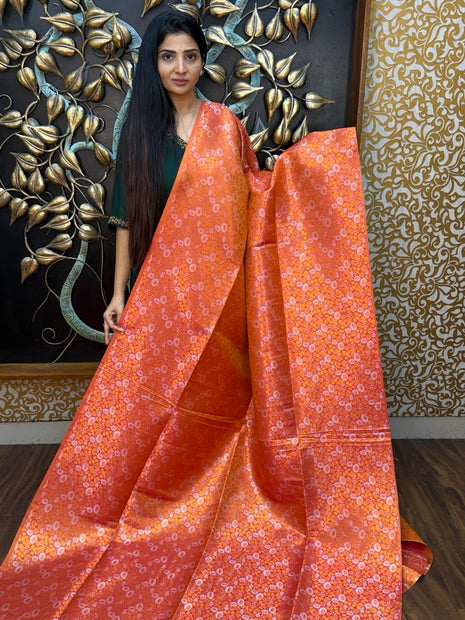 Border Less Kanchi Silk