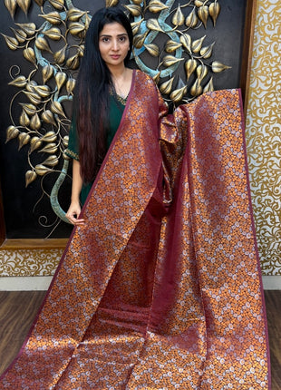 Border Less Kanchi Silk