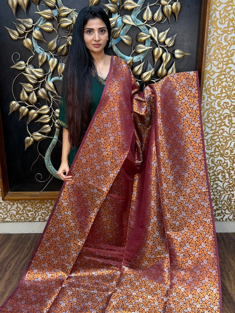 Border Less Kanchi Silk