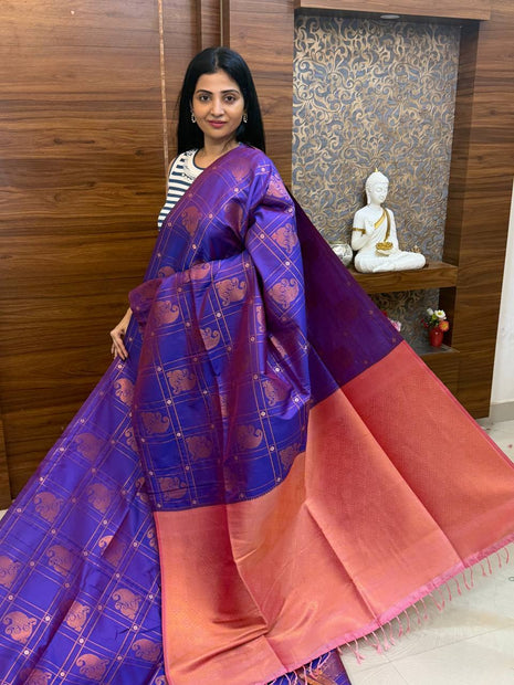 Border Less Kanchi Silk