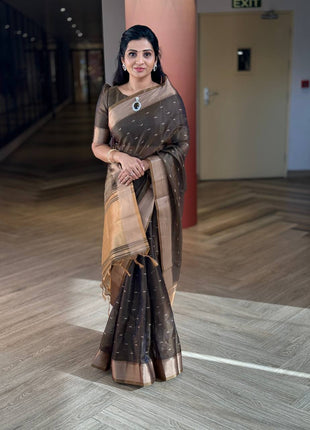 Handloom Linen Saree