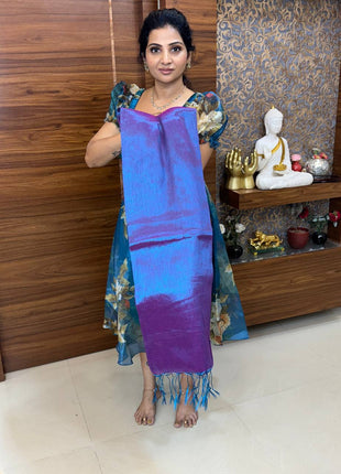 Tissue Saree