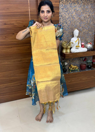 Tissue Saree
