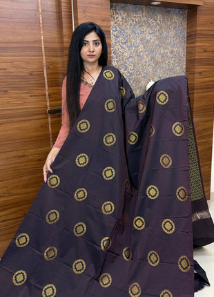 Border Less Kanchi Silk