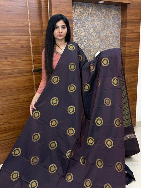 Border Less Kanchi Silk