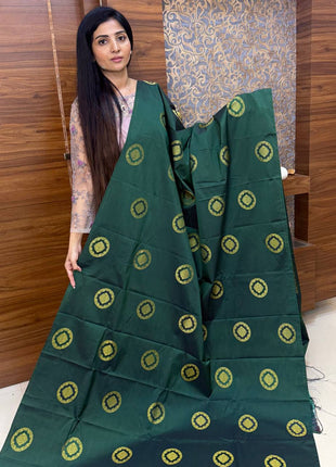 Border Less Kanchi Silk