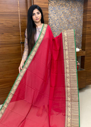 Narayanpet Cotton