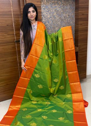 Premium Kanchi