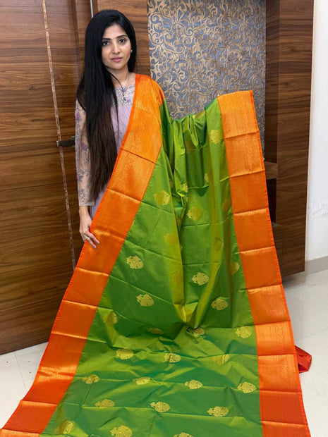 Premium Kanchi
