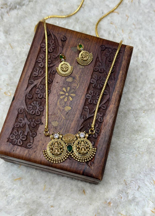 Long Dollar Chain With Earring