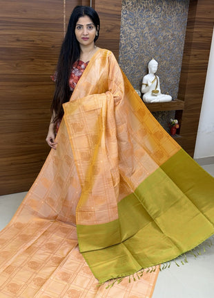 Border Less Kanchi Silk