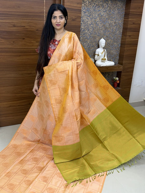 Border Less Kanchi Silk